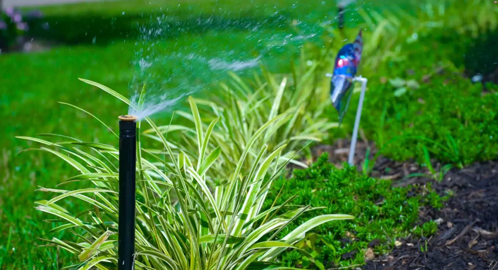 Professional irrigation system
