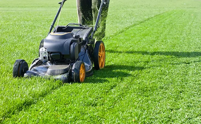 No Maintenance