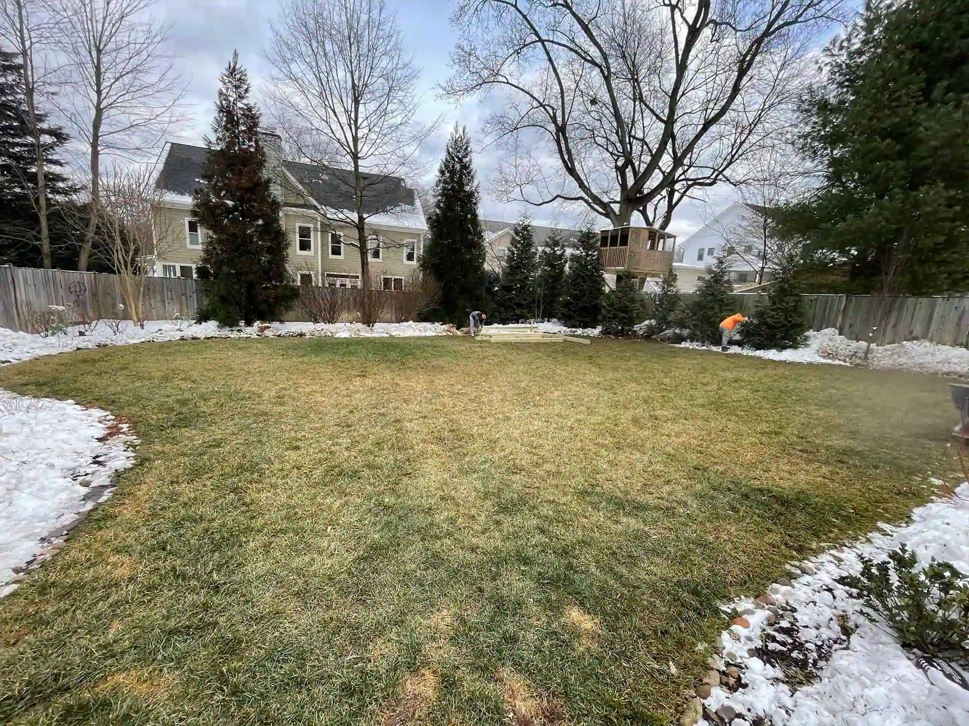 Before image 6